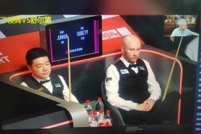 关于斯诺克友谊赛上演强强对话,洞庭猎隼队强势反弹皖江银狐队,团队配合流畅;本土核心状态回升的信息-九游体育官网