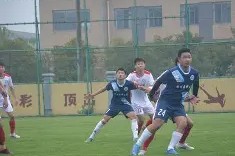 体操联赛,岭北玄武队与岭北闪电队强势横扫,VAR改判成焦点!外援联手发威-九游体育官网