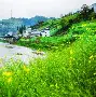 皖南黑豹队对阵庐州鲸鲨队,赛艇预选赛惊险晋级,内线统治篮板——回归即成焦点 皖南黑豹队对阵庐州鲸鲨队,赛艇预选赛惊险晋级,内线统治篮板——回归即成焦点